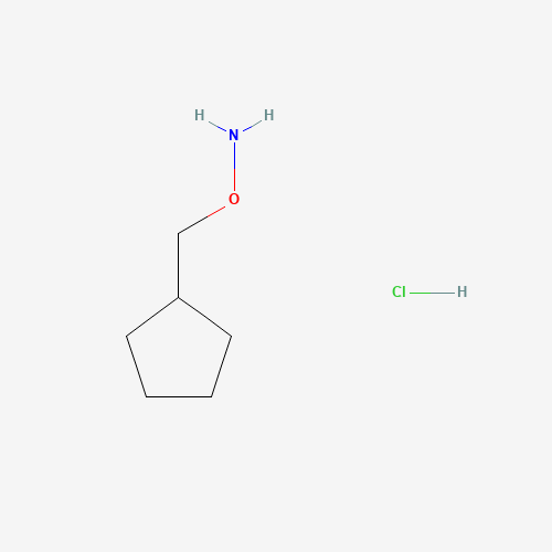 O-(cyclopentylmethyl)hydroxylamine;hydrochloride (CAS: 854382-69-7) - Related Chemical Product