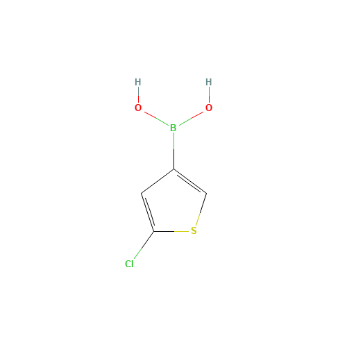 (5-chlorothiophen-3-yl)boronic acid (CAS: 199659-23-9) - Chemical Structure and Molecular Formula 