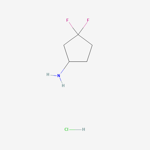 3,3-difluorocyclopentan-1-amine;hydrochloride (CAS: 939398-48-8) - Related Chemical Product