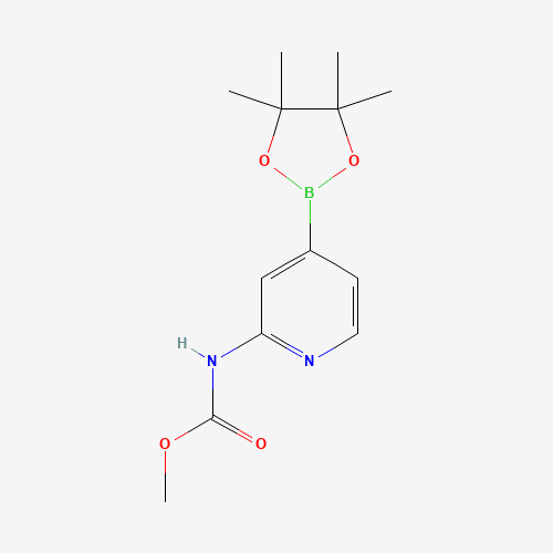methyl N-[4-(4,4,5,5-tetramethyl-1,3,2-dioxaborolan-2-yl)pyridin-2-yl]carbamate (CAS: 1353004-64-4) - Related Chemical Product