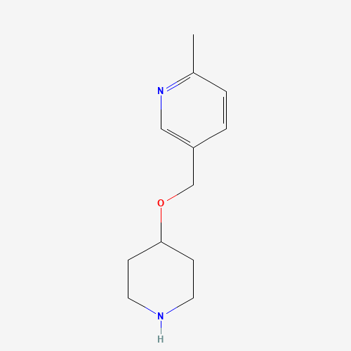 2-methyl-5-(piperidin-4-yloxymethyl)pyridine (CAS: 1400765-00-5) - Related Chemical Product