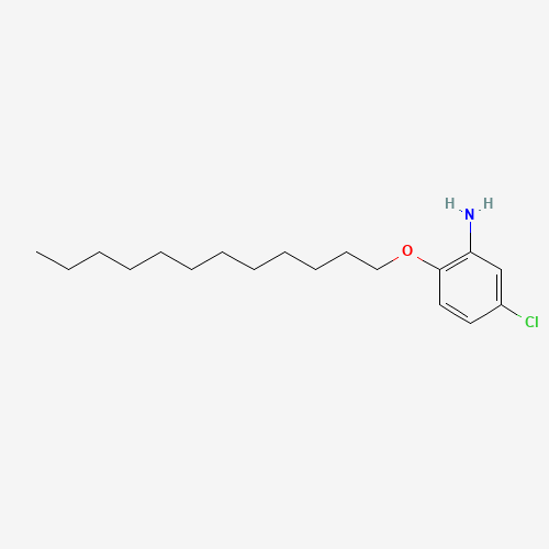 5-chloro-2-dodecoxyaniline (CAS: 208345-70-4) - Related Chemical Product
