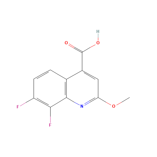 7,8-difluoro-2-methoxyquinoline-4-carboxylic acid (CAS: 1125702-51-3) - Chemical Structure and Molecular Formula 