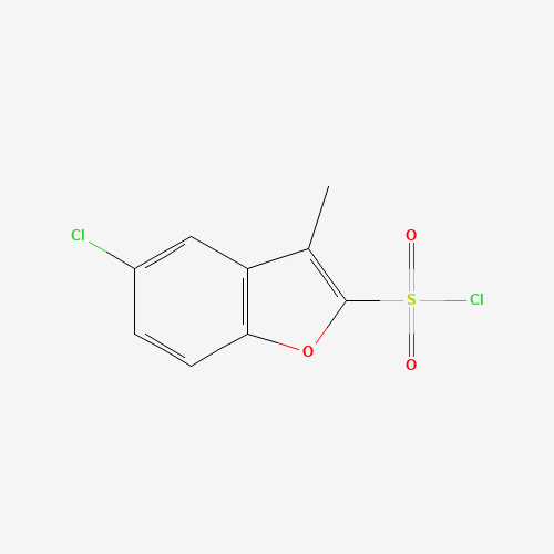 5-chloro-3-methyl-1-benzofuran-2-sulfonyl chloride (CAS: 745023-62-5) - Related Chemical Product