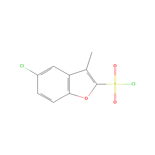 5-chloro-3-methyl-1-benzofuran-2-sulfonyl chloride (CAS: 745023-62-5) - Related Chemical Product