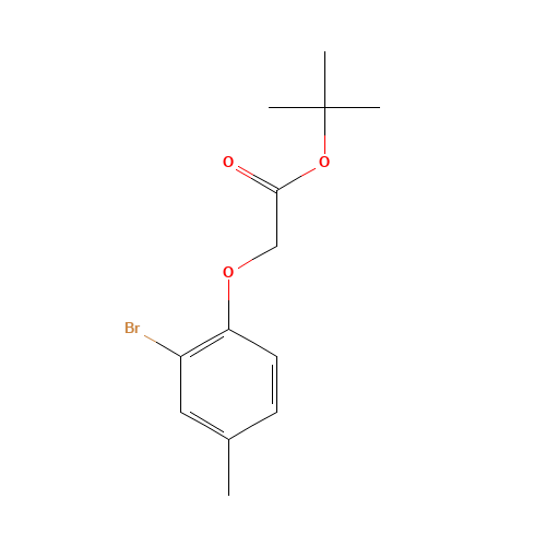 tert-butyl 2-(2-bromo-4-methylphenoxy)acetate (CAS: 1240286-85-4) - Related Chemical Product