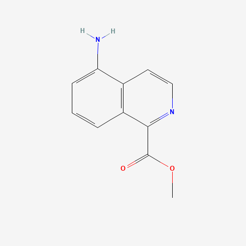 methyl 5-aminoisoquinoline-1-carboxylate (CAS: 75795-42-5) - Related Chemical Product