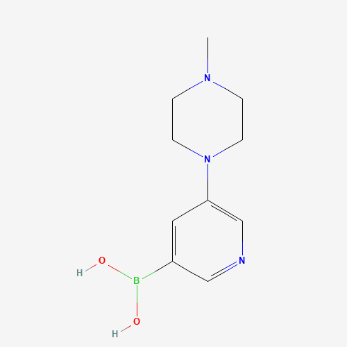 [5-(4-methylpiperazin-1-yl)pyridin-3-yl]boronic acid (CAS: 1286778-37-7) - Related Chemical Product