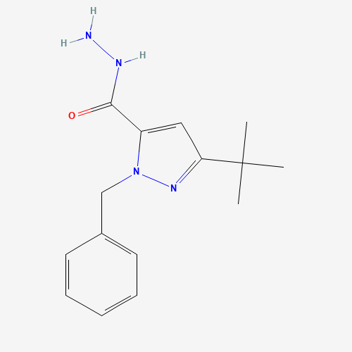 2-benzyl-5-tert-butylpyrazole-3-carbohydrazide (CAS: 263385-00-8) - Related Chemical Product