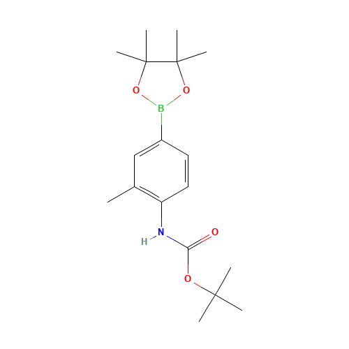 tert-butyl N-[2-methyl-4-(4,4,5,5-tetramethyl-1,3,2-dioxaborolan-2-yl)phenyl]carbamate (CAS: 508223-54-9) - Chemical Structure and Molecular Formula 