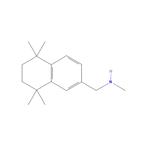 N-methyl-1-(5,5,8,8-tetramethyl-6,7-dihydronaphthalen-2-yl)methanamine (CAS: 950603-16-4) - Related Chemical Product