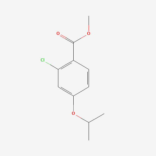 methyl 2-chloro-4-propan-2-yloxybenzoate (CAS: 1192829-82-5) - Related Chemical Product