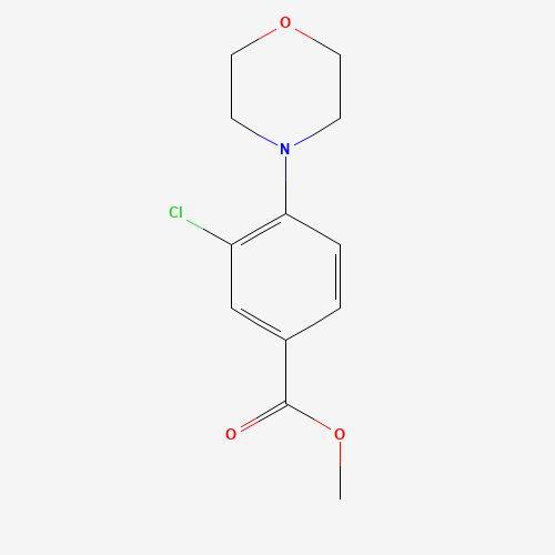 methyl 3-chloro-4-morpholin-4-ylbenzoate (CAS: 1314406-49-9) - Related Chemical Product