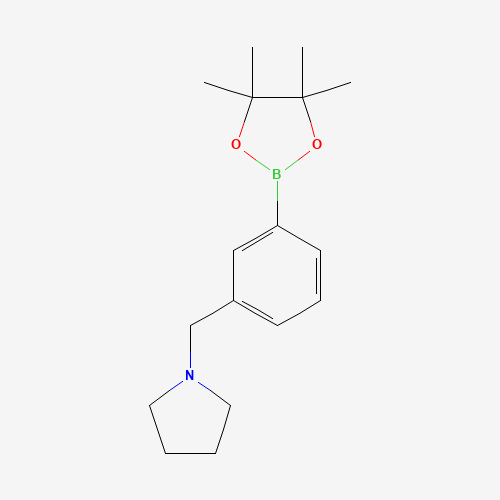 1-[[3-(4,4,5,5-tetramethyl-1,3,2-dioxaborolan-2-yl)phenyl]methyl]pyrrolidine (CAS: 884507-45-3) - Chemical Structure and Molecular Formula 