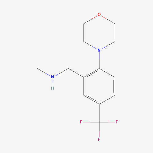 N-methyl-1-[2-morpholin-4-yl-5-(trifluoromethyl)phenyl]methanamine (CAS: 886851-52-1) - Related Chemical Product