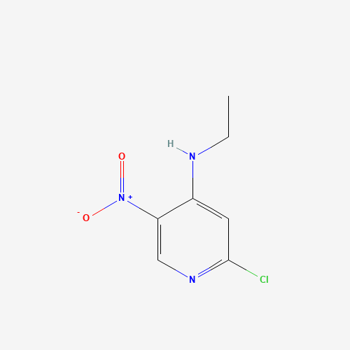 2-chloro-N-ethyl-5-nitropyridin-4-amine (CAS: 607373-89-7) - Related Chemical Product