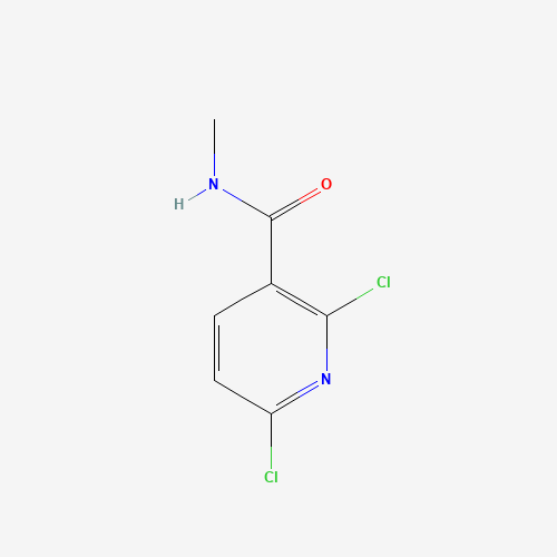 2,6-dichloro-N-methylpyridine-3-carboxamide (CAS: 325707-61-7) - Related Chemical Product