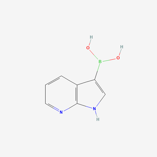1H-pyrrolo[2,3-b]pyridin-3-ylboronic acid (CAS: 1260433-36-0) - Related Chemical Product