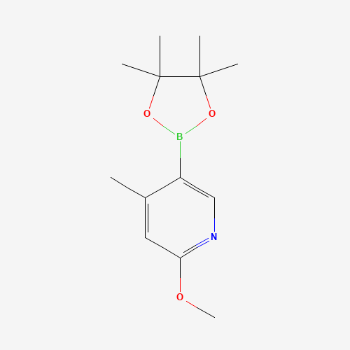 2-methoxy-4-methyl-5-(4,4,5,5-tetramethyl-1,3,2-dioxaborolan-2-yl)pyridine (CAS: 1093951-66-6) - Related Chemical Product