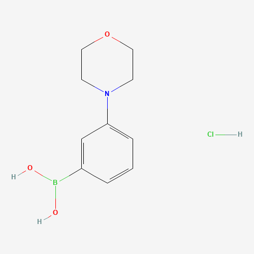 (3-morpholin-4-ylphenyl)boronic acid;hydrochloride (CAS: 863248-20-8) - Related Chemical Product