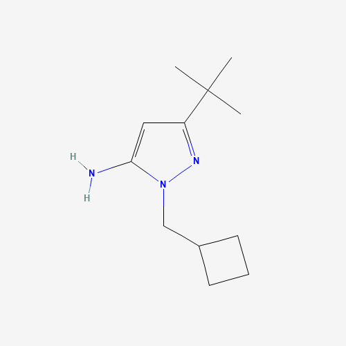 5-tert-butyl-2-(cyclobutylmethyl)pyrazol-3-amine (CAS: 1018679-74-7) - Related Chemical Product