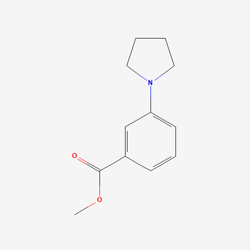 methyl 3-pyrrolidin-1-ylbenzoate (CAS: 186086-71-5) - Related Chemical Product