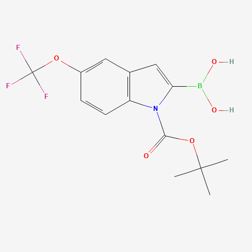 [1-[(2-methylpropan-2-yl)oxycarbonyl]-5-(trifluoromethoxy)indol-2-yl]boronic acid (CAS: 1034566-16-9) - Chemical Structure and Molecular Formula 