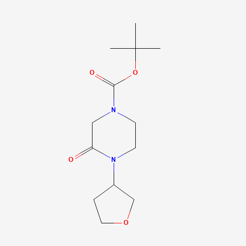 tert-butyl 3-oxo-4-(oxolan-3-yl)piperazine-1-carboxylate (CAS: 1284246-91-8) - Related Chemical Product