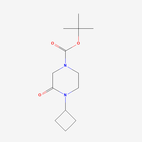tert-butyl 4-cyclobutyl-3-oxopiperazine-1-carboxylate (CAS: 1284245-81-3) - Related Chemical Product