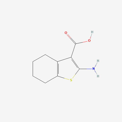 2-amino-4,5,6,7-tetrahydro-1-benzothiophene-3-carboxylic acid (CAS: 5936-58-3) - Chemical Structure and Molecular Formula 