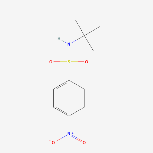 N-tert-butyl-4-nitrobenzenesulfonamide (CAS: 49690-09-7) - Chemical Structure and Molecular Formula 