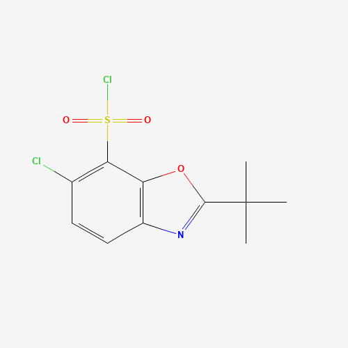 2-tert-butyl-6-chloro-1,3-benzoxazole-7-sulfonyl chloride (CAS: 361392-60-1) - Related Chemical Product