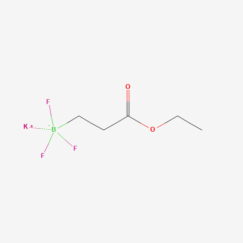 potassium;(3-ethoxy-3-oxopropyl)-trifluoroboranuide (CAS: 1023357-64-3) - Related Chemical Product