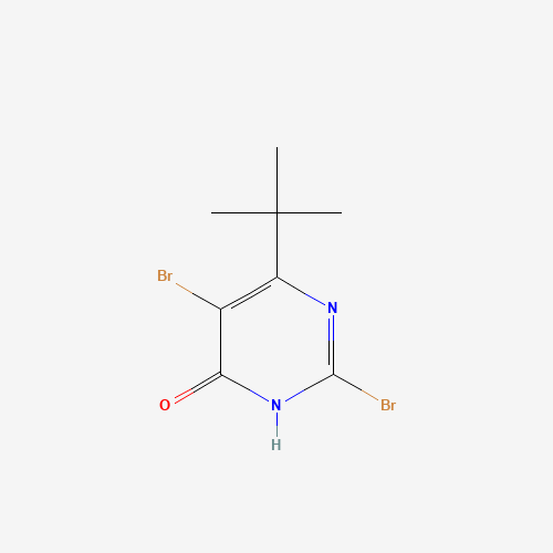 2,5-dibromo-6-tert-butyl-1H-pyrimidin-4-one (CAS: 1307893-01-1) - Related Chemical Product