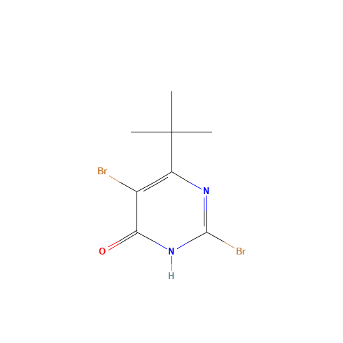 2,5-dibromo-6-tert-butyl-1H-pyrimidin-4-one (CAS: 1307893-01-1) - Related Chemical Product
