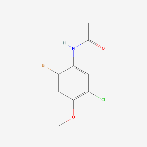 N-(2-bromo-5-chloro-4-methoxyphenyl)acetamide (CAS: 685536-14-5) - Related Chemical Product