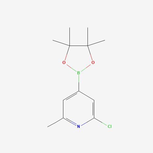 2-chloro-6-methyl-4-(4,4,5,5-tetramethyl-1,3,2-dioxaborolan-2-yl)pyridine (CAS: 697739-22-3) - Related Chemical Product