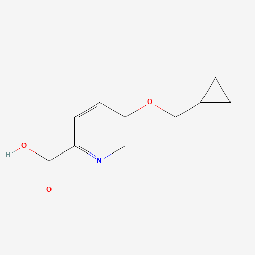 5-(cyclopropylmethoxy)pyridine-2-carboxylic acid (CAS: 1266787-40-9) - Related Chemical Product