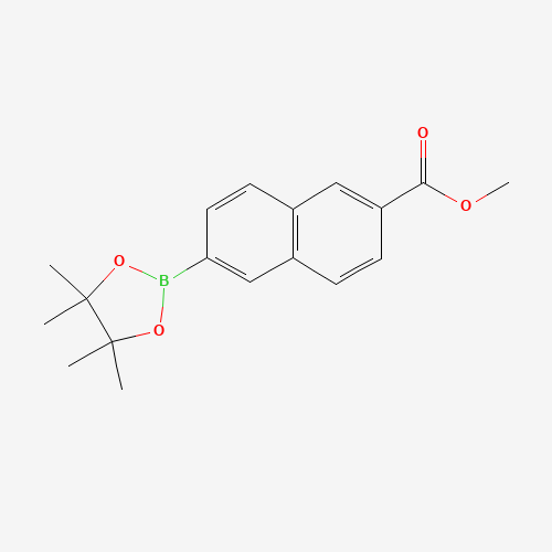 methyl 6-(4,4,5,5-tetramethyl-1,3,2-dioxaborolan-2-yl)naphthalene-2-carboxylate (CAS: 736989-93-8) - Related Chemical Product