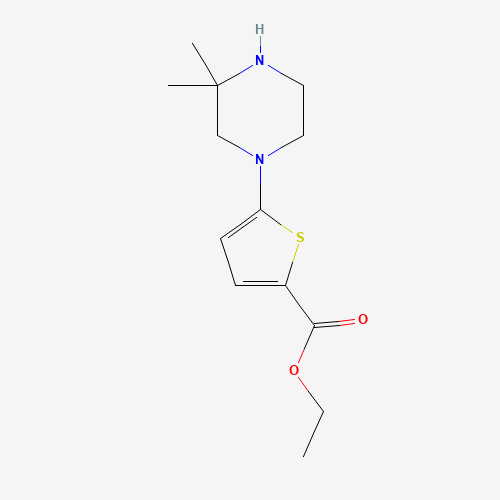 ethyl 5-(3,3-dimethylpiperazin-1-yl)thiophene-2-carboxylate (CAS: 1035271-33-0) - Related Chemical Product