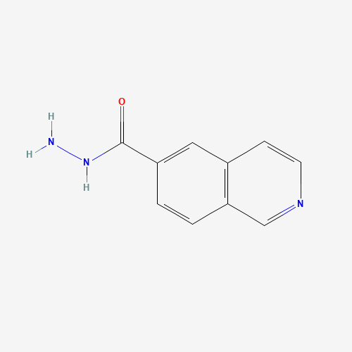 isoquinoline-6-carbohydrazide (CAS: 1015068-44-6) - Related Chemical Product