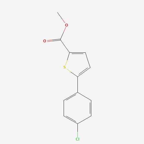 methyl 5-(4-chlorophenyl)thiophene-2-carboxylate (CAS: 649569-56-2) - Related Chemical Product