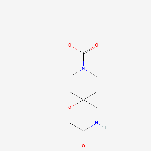 tert-butyl 3-oxo-1-oxa-4,9-diazaspiro[5.5]undecane-9-carboxylate (CAS: 1160247-07-3) - Related Chemical Product