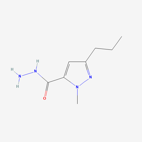 2-methyl-5-propylpyrazole-3-carbohydrazide (CAS: 1185292-68-5) - Related Chemical Product