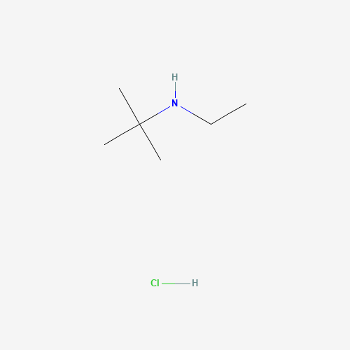 N-ethyl-2-methylpropan-2-amine;hydrochloride (CAS: 22675-80-5) - Related Chemical Product