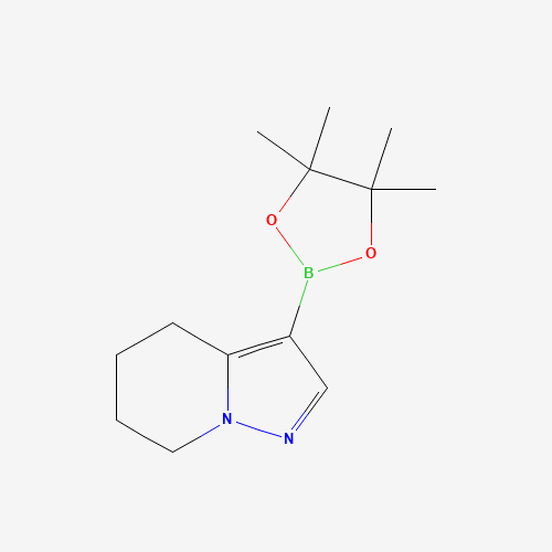 3-(4,4,5,5-tetramethyl-1,3,2-dioxaborolan-2-yl)-4,5,6,7-tetrahydropyrazolo[1,5-a]pyridine (CAS: 1160614-73-2) - Related Chemical Product