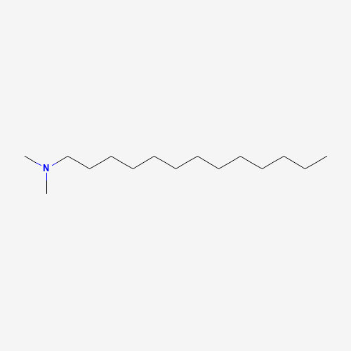 N,N-dimethyltridecan-1-amine (CAS: 17373-29-4) - Related Chemical Product