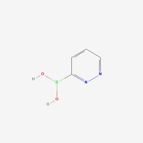 pyridazin-3-ylboronic acid (CAS: 1175560-30-1) - Related Chemical Product