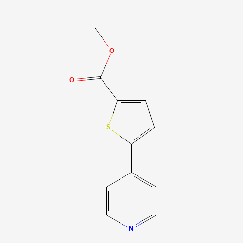 methyl 5-pyridin-4-ylthiophene-2-carboxylate (CAS: 216867-33-3) - Related Chemical Product