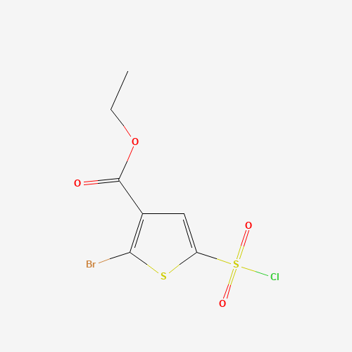 ethyl 2-bromo-5-chlorosulfonylthiophene-3-carboxylate (CAS: 1245647-67-9) - Related Chemical Product